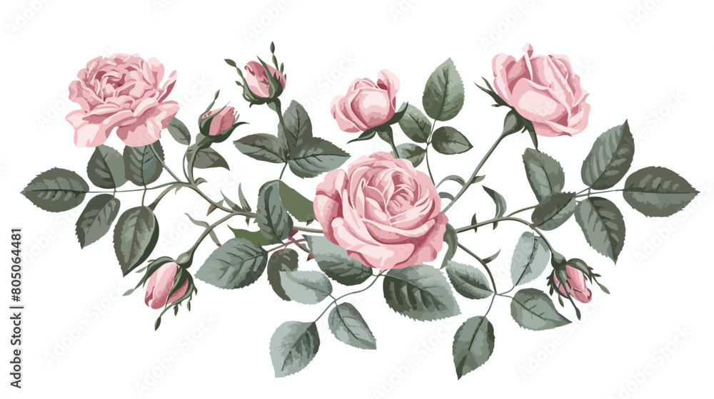 Beautiful pink roses and leaves on white background Vector