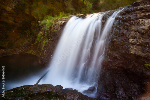 Exploring the Serene Wilderness  Long Exposure Shots of Rio Fratta River  Corchiano