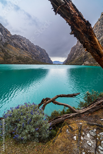 green water laguna Chinancocha laguna in the andes in the Huascarán national park in peru photo