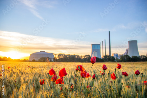 The morning in a wheat field in the background a coal-fired power station at sunrise. Landscape shot of nature and industry at the Staudinger power plant, Hainburg, Bavaria, Germany