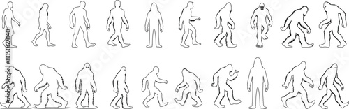 Bigfoot line art evolution mystery creature outline. Ape like humanoid, mythical folklore legend, elusive cryptid enigma