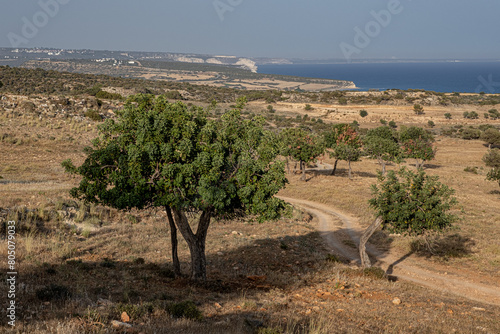 Photography View of the Meland plateau, above  Melanda Beach, adjacent east of Pissouri Bay