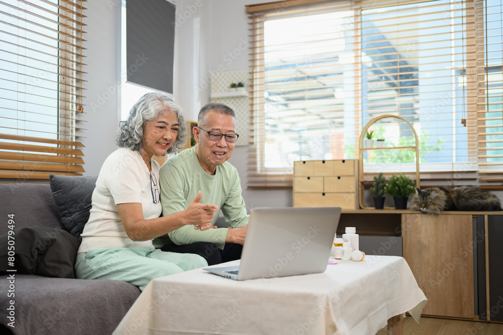 Elderly man and woman sitting in front of a laptop having an online video call with doctor. Telehealth concept
