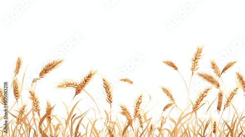 Composition with wheat spikelets on white background