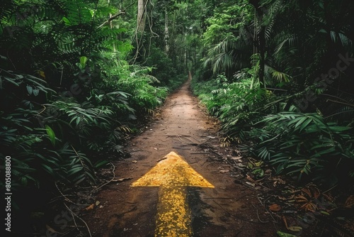 Fototapeta Naklejka Na Ścianę i Meble -  A arrow pathway pointing forward in a jungle trial