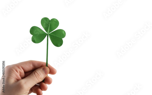 Paper Clover Clutched in Hand, Solitary Hand Grasping Paper Clover, White Background, Copy Space © Usama
