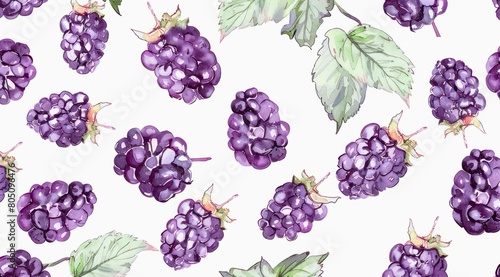 Blackberries on white background, watercolor pattern design.