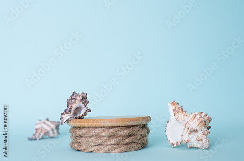 Mock up with podium and seashells over blue background. © Polina Ponomareva