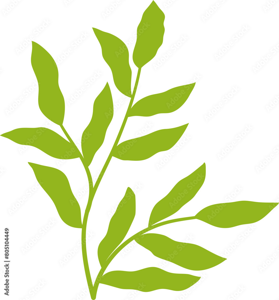 Obraz premium Tropical plant