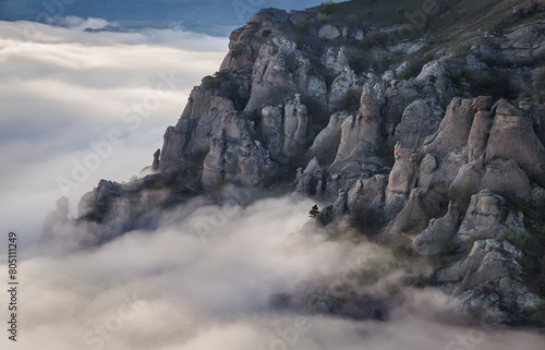 Stone guards and lonely tree above the clouds (Demerdzhi, Crimea) photo