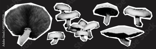 Trendy collage elements set halftone forest mushrooms vector illustration isolated on dark background. Cut out of magazine shapes for grunge punk mixed media design
