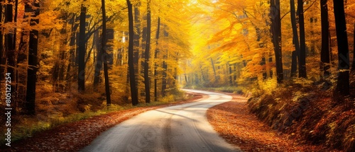 A winding dirt road disappearing into a vibrant autumn forest with colorful foliage  ideal for peaceful nature themes 