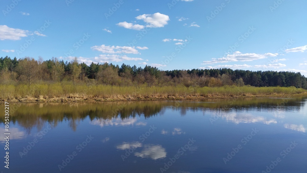 In early spring there is a lot of melt water in the river, which floods the banks and reed beds. A forest grows on the opposite bank. Young leaves appear on bushes and trees. Sunny weather