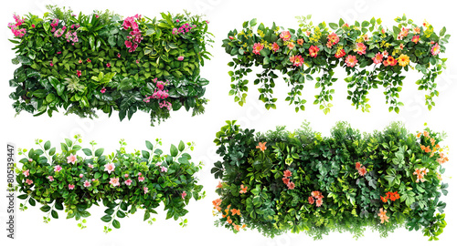 Set of green garden walls from tropical plants and flowers, cut out