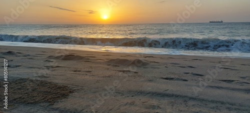 Playa salvaje  © Martin