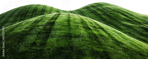 Green hill isolated on transparent background