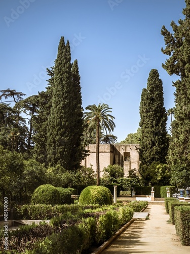 Palm trees and buildings in the gardens of Real Alcazar de Seville © MatyasSipos
