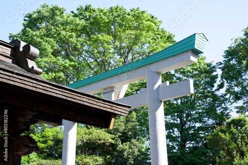 新緑と神社　Fresh greenery and Japanese shrines