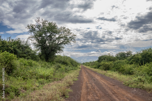 A breathtaking view of Omo Valley in Ethiopia showcases a vast, lush landscape. A winding dirt road meanders through the valley, drawing the eye to distant hills and mountains photo