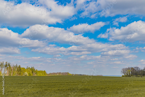 spring landscape, blue sky with white clouds, sown field in spring