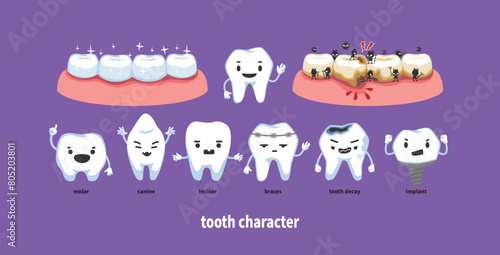 Various tooth characters. Appearance of healthy teeth and sick teeth.