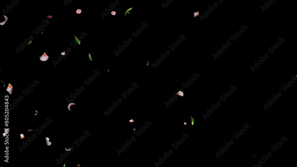 Slow motion of Falling spring flower, petal and leaves with Alpha Channel, Spring season leaves fall motion graphic background
Slow motion of Falling spring flower, petal and leaves with Alpha Channel, Spring season leaves fall motion graphic background