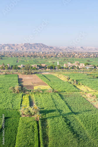 An aerial view of the lush farming fields in Luxor, Egypt.	
