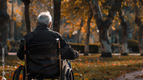 Wallpaper Mural old man in wheelchair on park background. shot from behind Torontodigital.ca