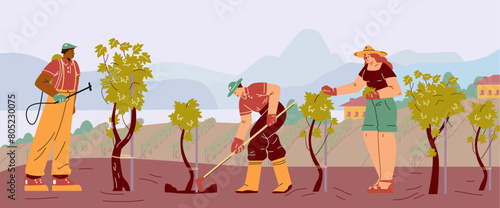 Vector illustration of growing grapes, agricultural work characters.
