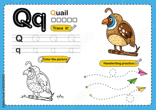 Illustration Isolated Animal Alphabet Letter Q-quail