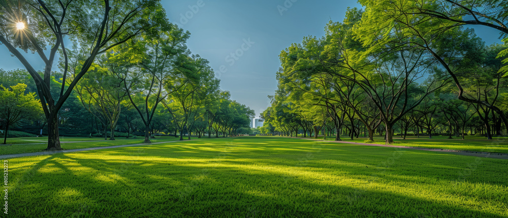 Tranquil view of a public park showcasing beautiful trees and winding walk paths from a low angle perspective. Tranquil view of a public park showcasing beautiful trees and winding walk paths from a low angle perspective.