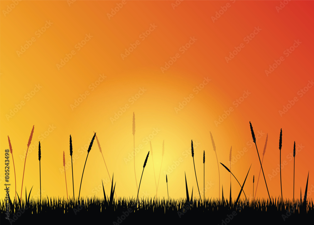 Field at Sunset with Grass Silhouette. Nature and landscapes concept vector art