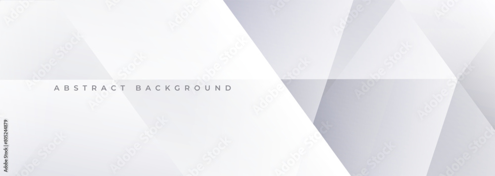 White and grey 3d modern abstract background with polygonal texture. Soft gray wide abstract banner. Vector illustration