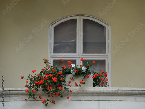 Window on yellow wall with flowers in front of it
