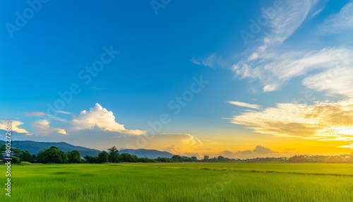 beautiful blue sky and cloud with golden ray sunrise in the morning natural background #805272680