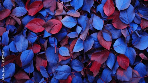 stunning leaves blueberry blue © vectorwin
