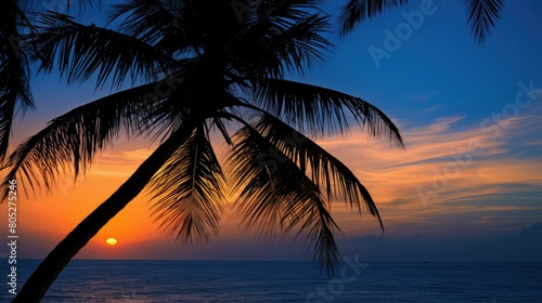 dusk palm tree lights