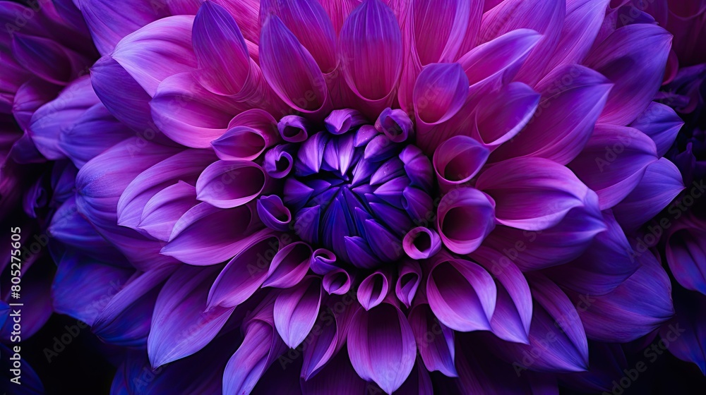 Obraz premium flower deep purple