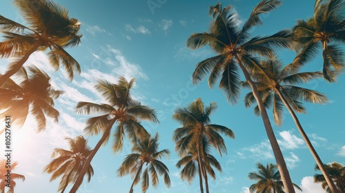 Fototapeta Naklejka Na Ścianę i Meble -  beach palm trees sun