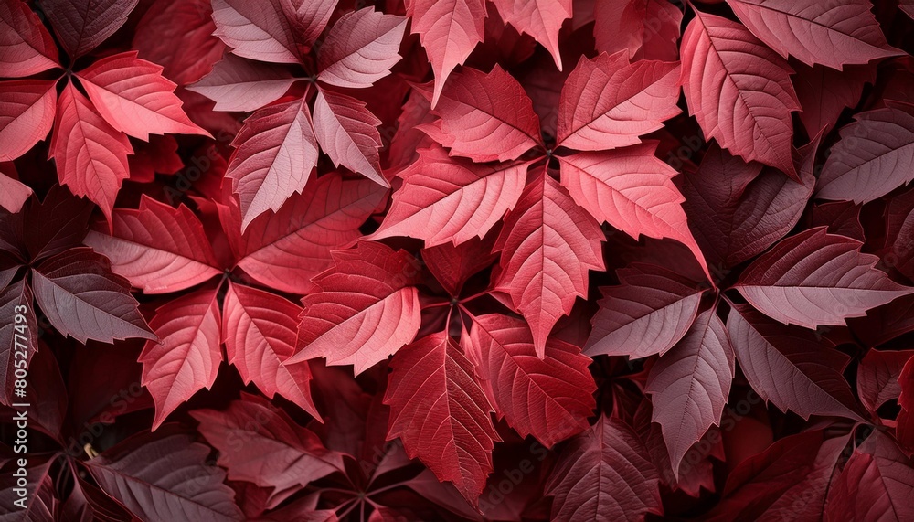 wine red autumn leaves texture fall nature background ai generative