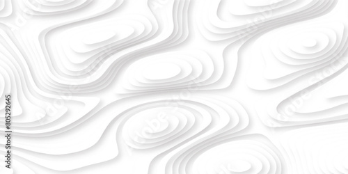 abstract papercut white, soft smooth lines curving to form a surface of light and shadow, abstract papercut and multi layer cutout geometric