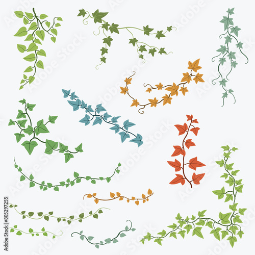 Floral ivy drawing decorative ornament flat design collection.