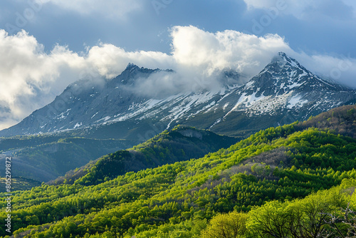 The striking image of a mountain range in early spring  with the lower slopes covered in fresh  green foliage and the peaks shrouded in clouds  