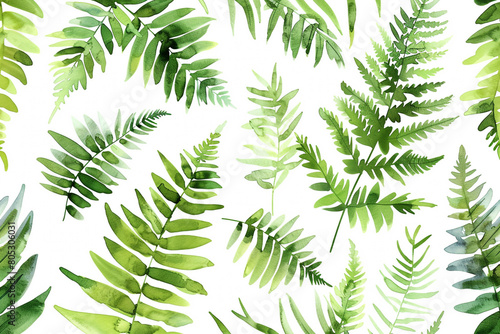 Watercolor Ferns  Delicate fern leaves  Seamless pattern illustration 
