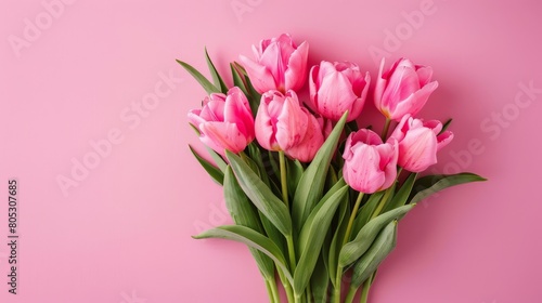 A bouquet of pink tulips on a pink background. © Sittipol 