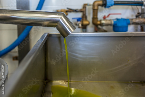 Slika na platnu Fresh extra virgin olive oil flowing from the cold pressing in a mill in Tuscany