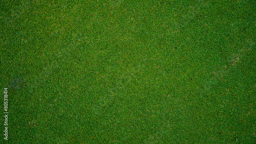 Green grass pattern and texture for background, top view background of garden bright grass concept. photo