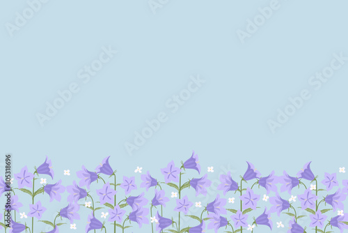 Sweden National flowers harebell (Campanula rotundifolia)  purple Liten blåklocka, blåklockablue background border frame for Sweden National  festival decoration vector illustration .
 photo