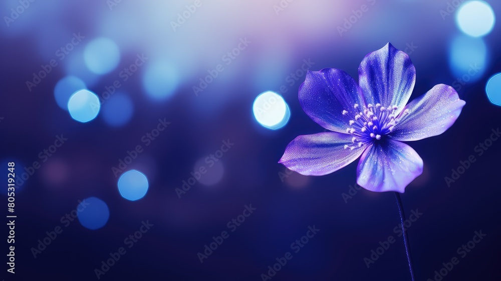 close blue purple bokeh close blue purple bokeh