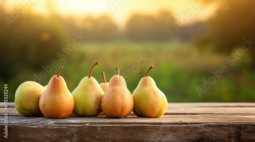up farm pear background